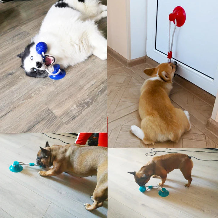 Dog Teething Toy