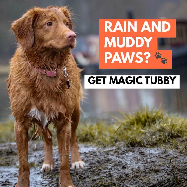 Magic Tubby™ - The best paw cleaner