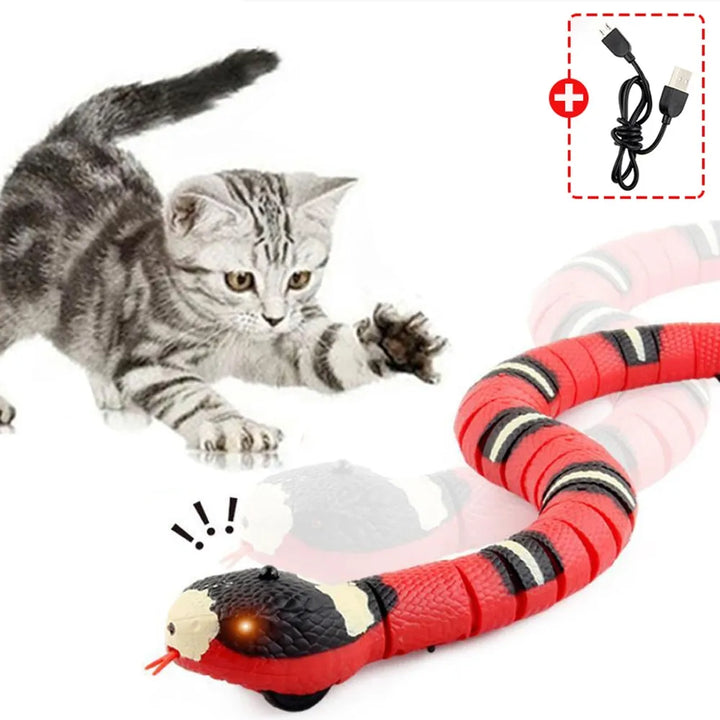 Interactive Cat Toys