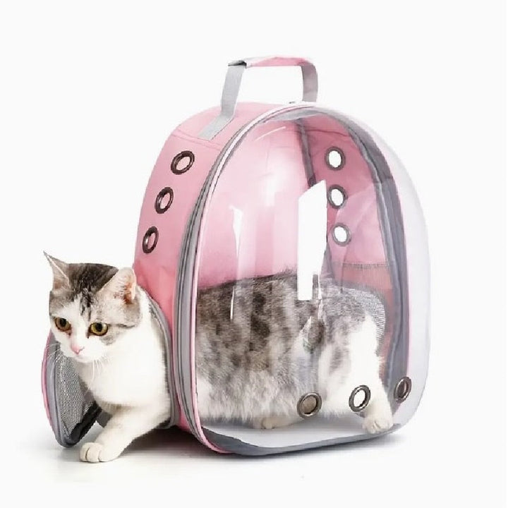 Backpack For Transporting Animals