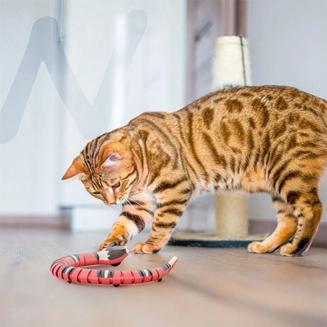 Miaux™ | Interactive cat snake